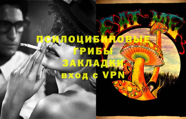 дживик Кулебаки