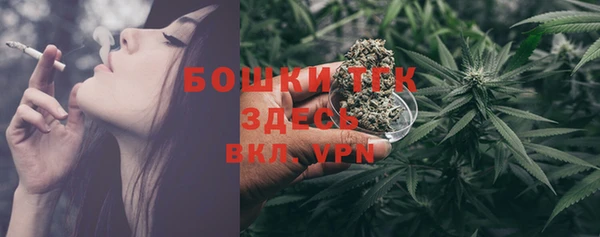 соль ск Кукмор