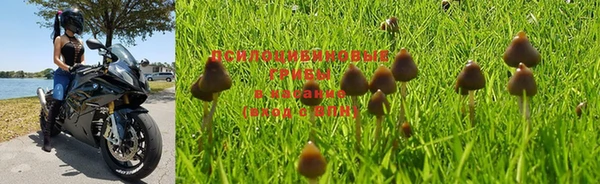 a pvp Куйбышев