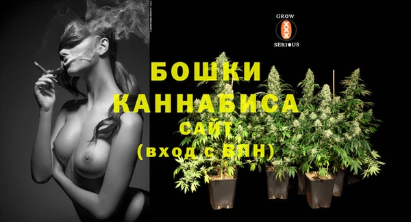 дживик Кулебаки
