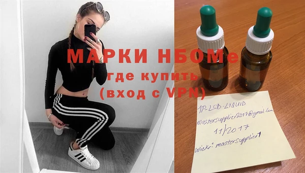 соль ск Кукмор