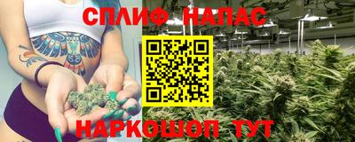 PSILOCYBIN Партизанск