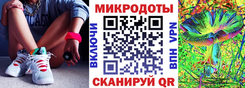 darknet формула  Слободской  Псилоцибиновые грибы Psilocybe 