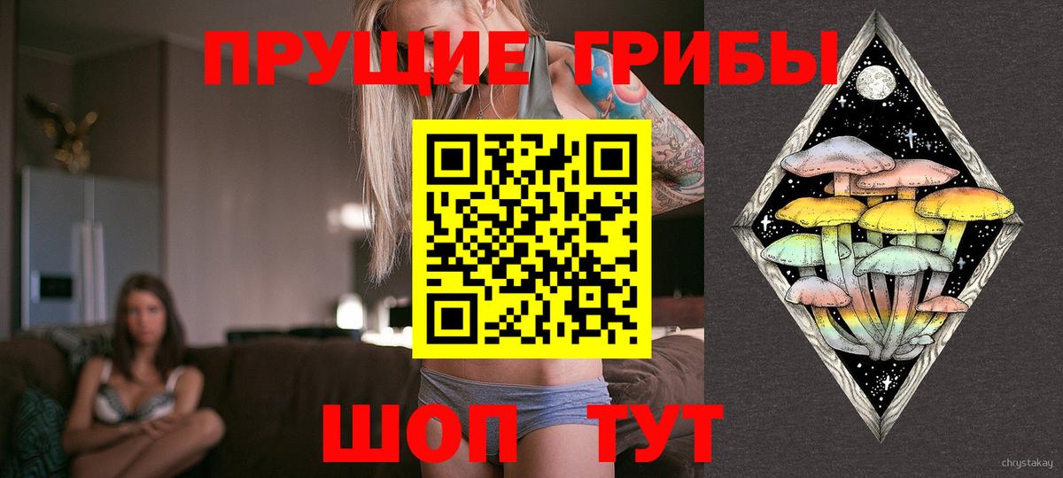 Псилоцибиновые грибы Cubensis Слободской